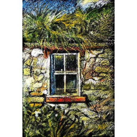 The Forgotten Window