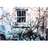 Cottage Window