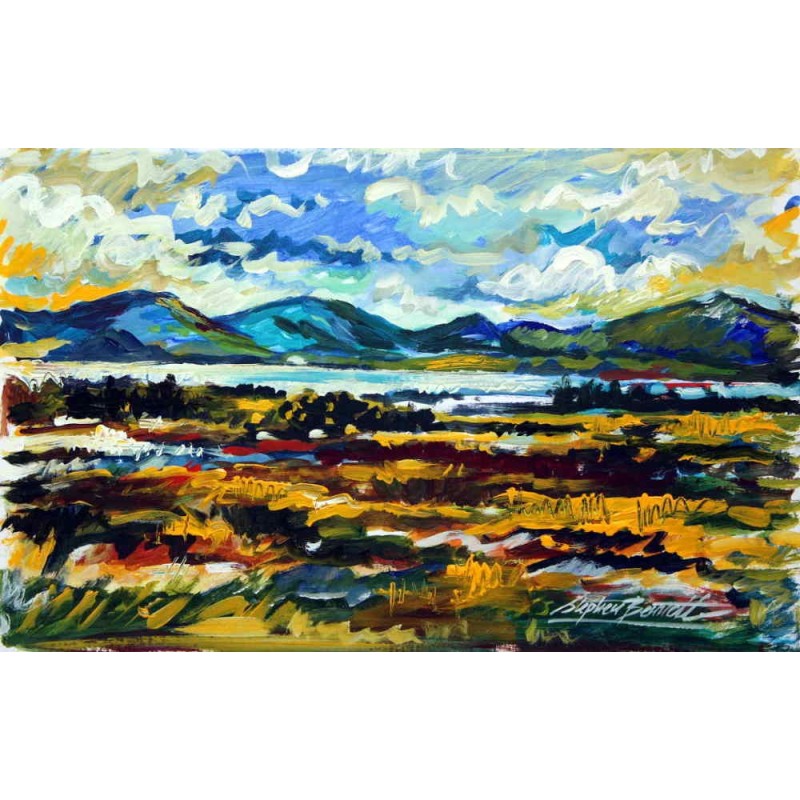 Capturing the Light, Ardara