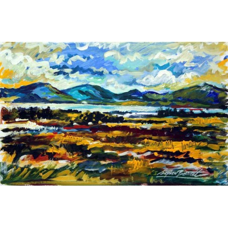 Capturing the Light, Ardara