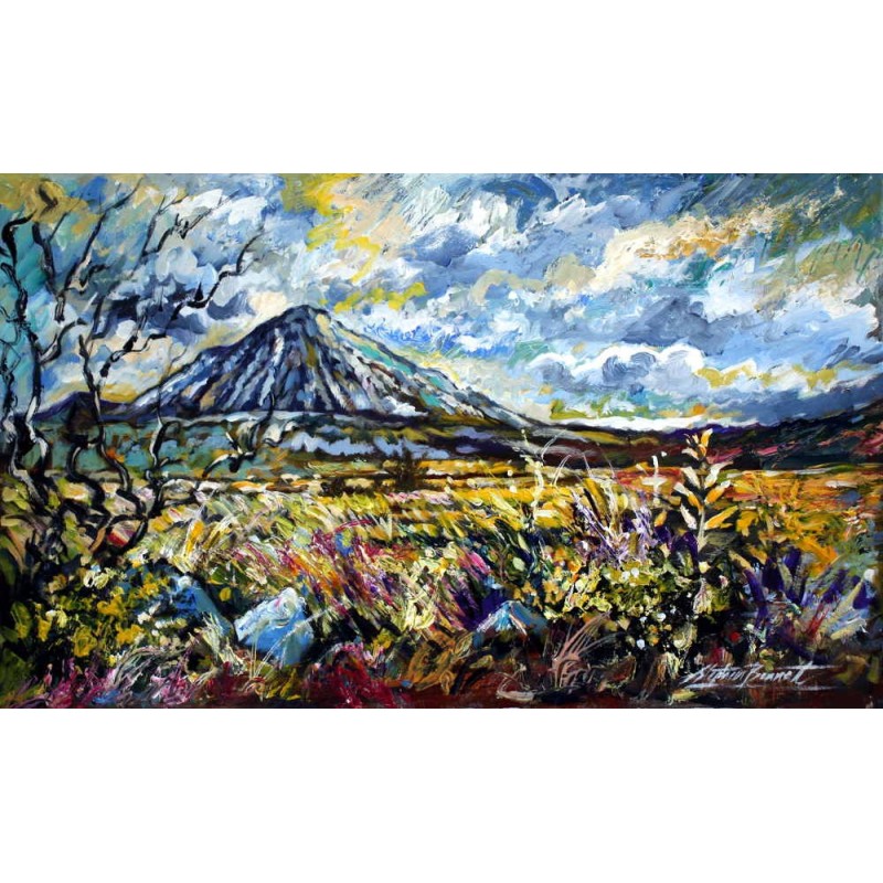 Wild Flowers at errigal