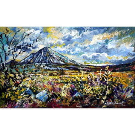 Wild Flowers at errigal