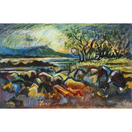 Sligo Landscape