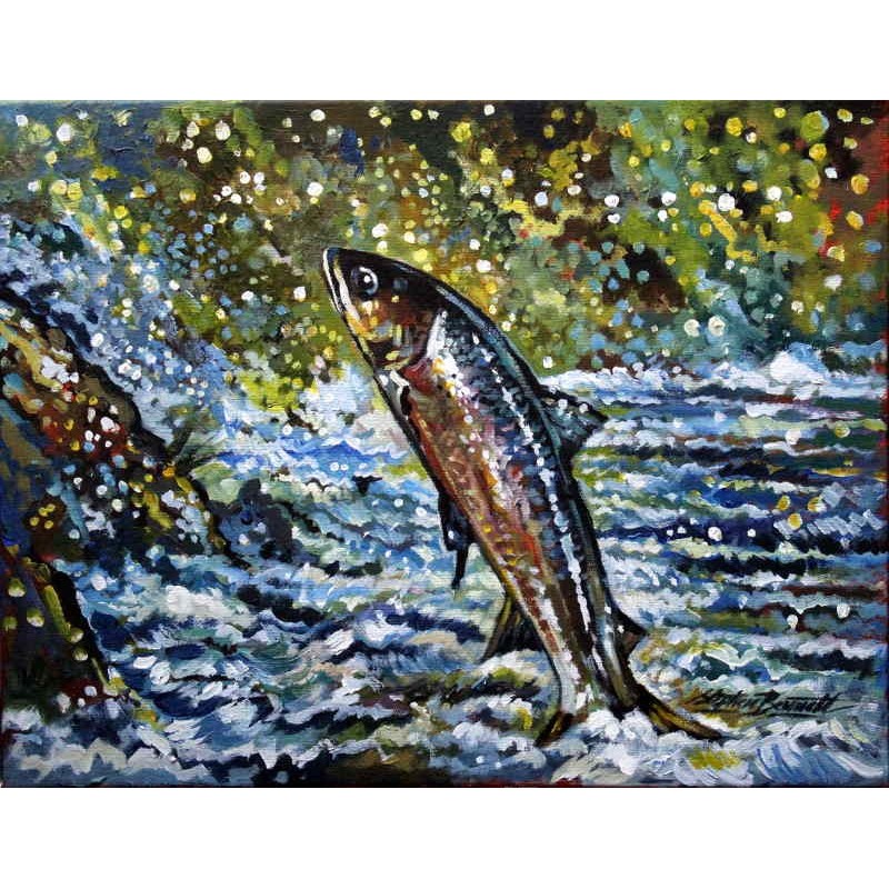 Salmon Leaping
