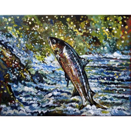 Salmon Leaping