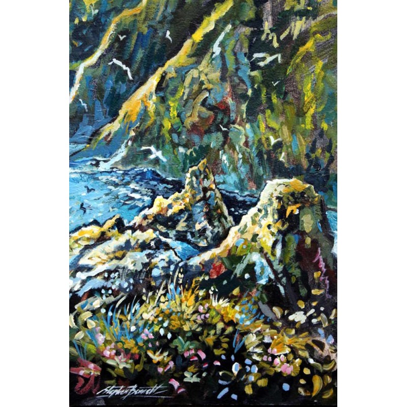 Birds hovering over Slieve League