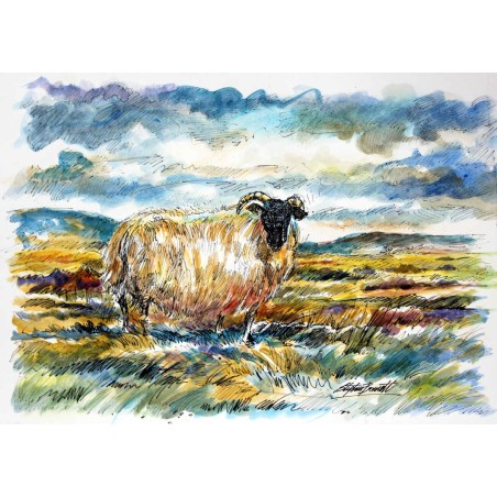 Mountain sheep,original painting by Stephen Bennett