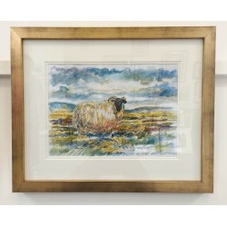 Mountain sheep,original painting by Stephen Bennett