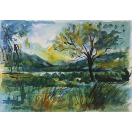 Misty Morning at the Owenea